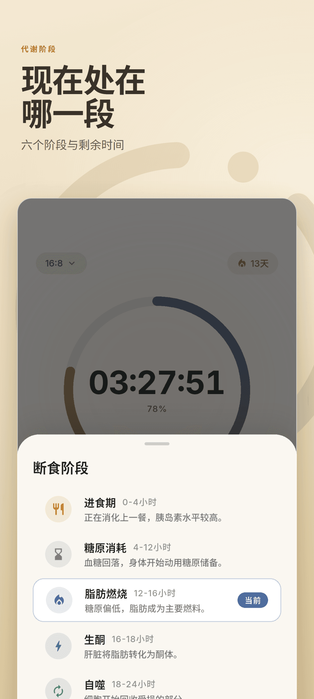断食阶段面板，列出全部六个阶段并标出当前阶段