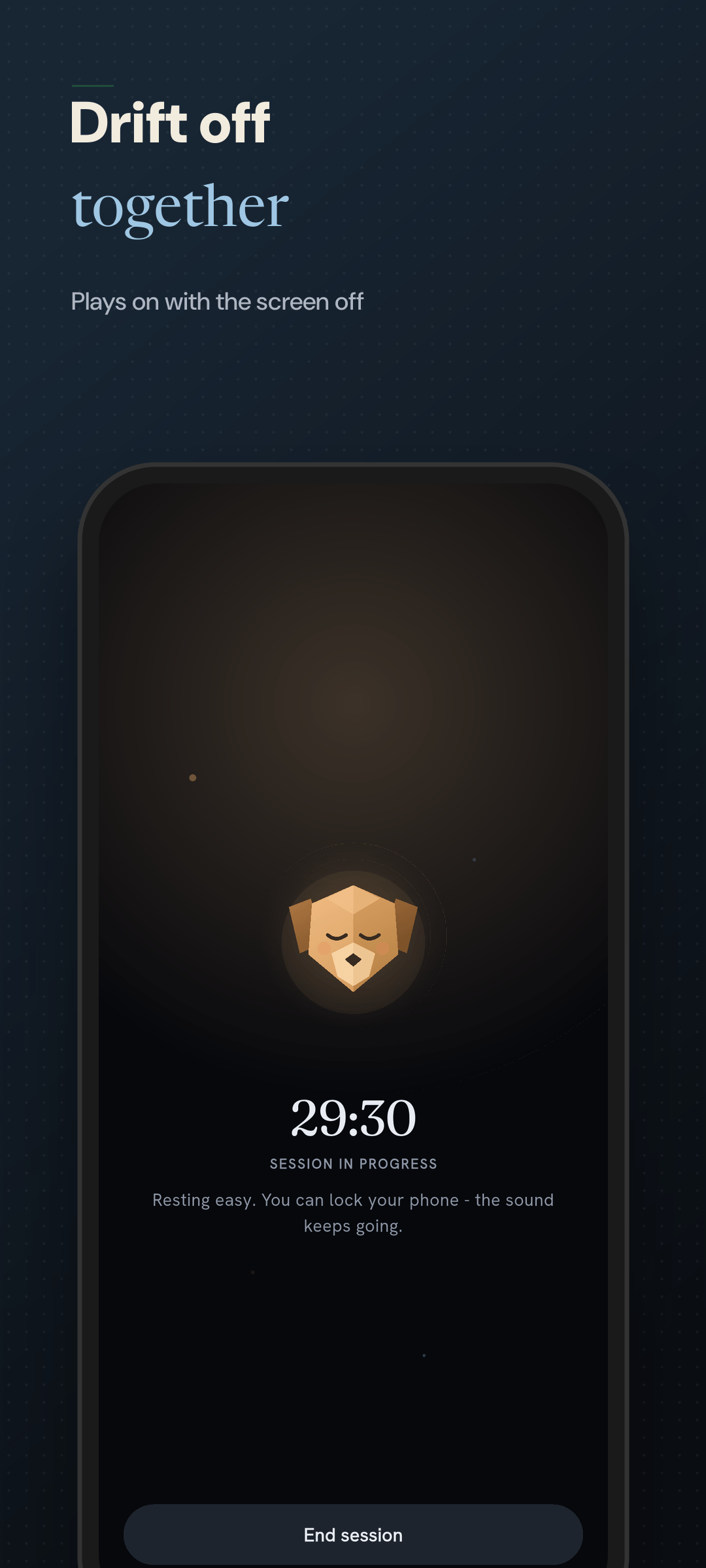 Night sleep session with a sleep-timer countdown