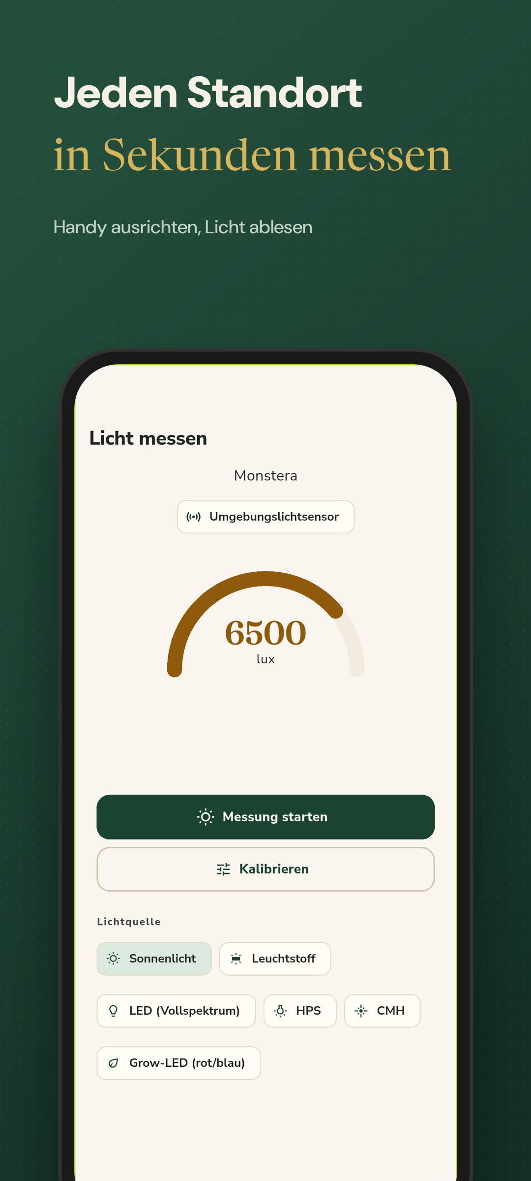 Lichtmessung an einem Standort mit Live-Lux-Anzeige
