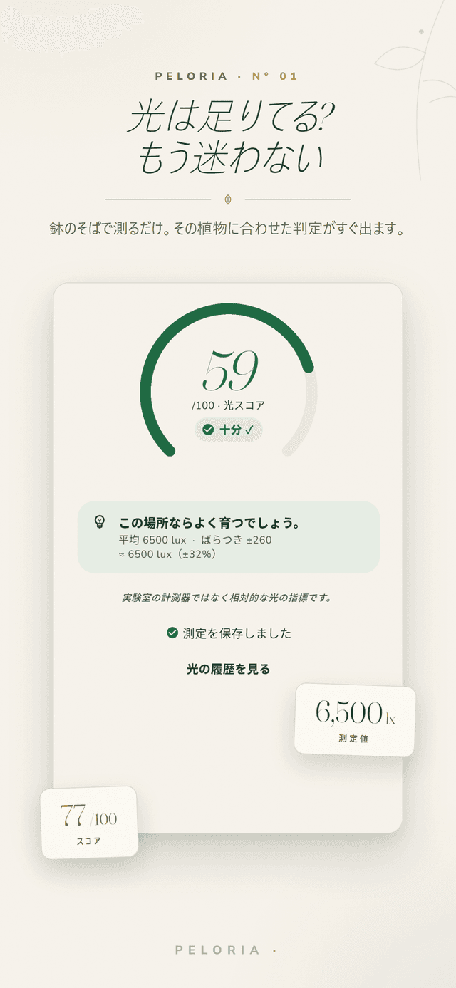 植物にスマホを向けると0-100の光スコアと十分かどうかの判定を示す結果画面、実験室の計測器ではない相対的な光の目安