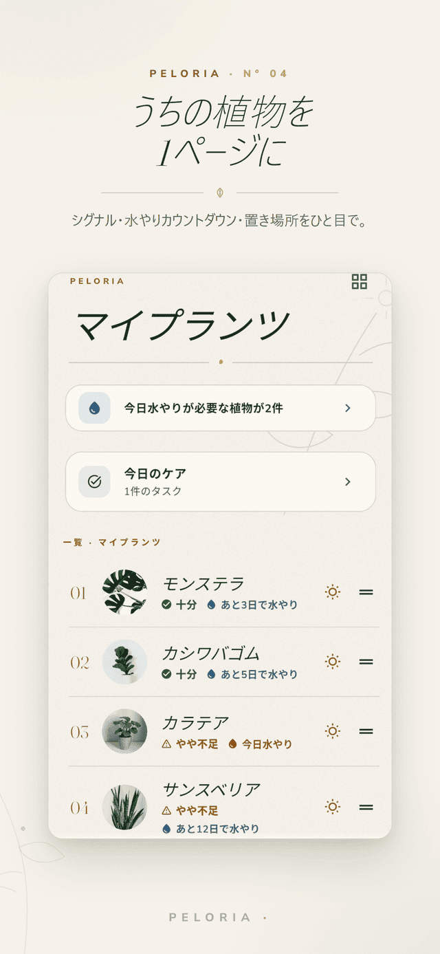 マイプランツのフォリオ - すべての植物の光の状態と次の水やりまでの日数を一画面に、今日の水やり・ケアのタスク付き