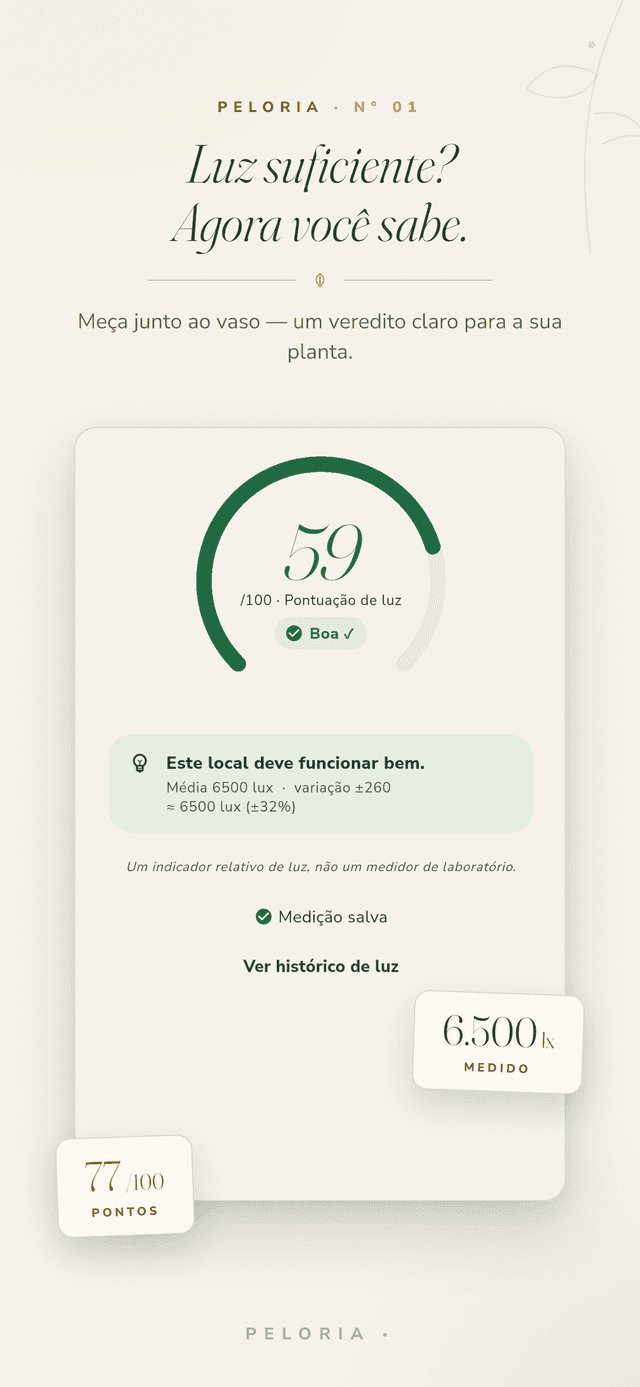 Tela de veredito de luz - aponte o telefone para uma planta e veja uma nota de luz de 0-100 e um veredito claro, um indicador relativo e não um medidor de laboratório