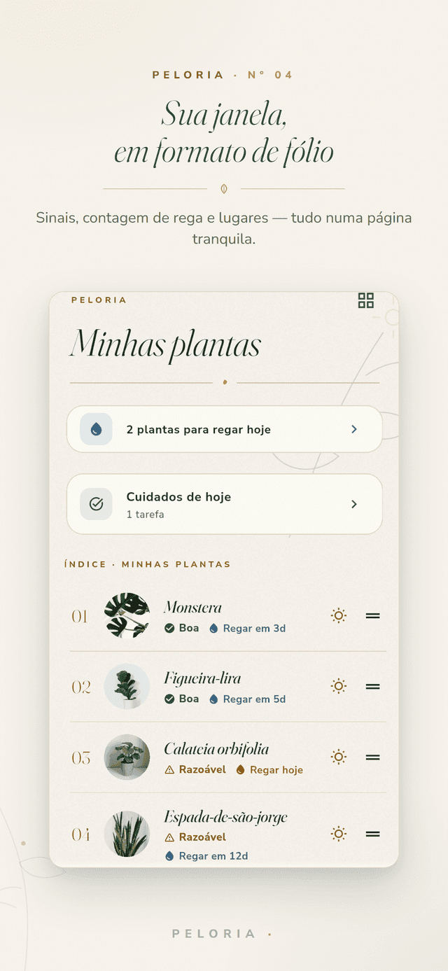 Fólio Minhas plantas - cada planta em uma página tranquila com seu estado de luz e a contagem regressiva de rega, além das tarefas de rega e cuidado de hoje