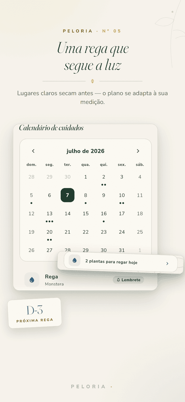 Rega guiada pela luz - um calendário de cuidados cujo ritmo de rega se adapta à luz que você mede, com a contagem regressiva da próxima rega