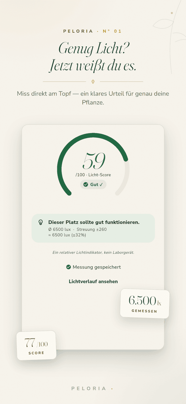 Licht-Bewertungsbildschirm - richte dein Handy auf eine Pflanze für einen Lichtwert von 0-100 und ein klares Urteil, ein relativer Indikator und kein Laborgerät