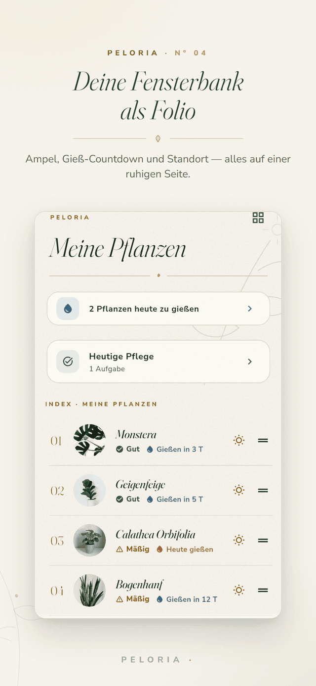 Meine-Pflanzen-Folio - jede Pflanze auf einer ruhigen Seite mit Lichtstatus und Gieß-Countdown, dazu die heutigen Gieß- und Pflegeaufgaben