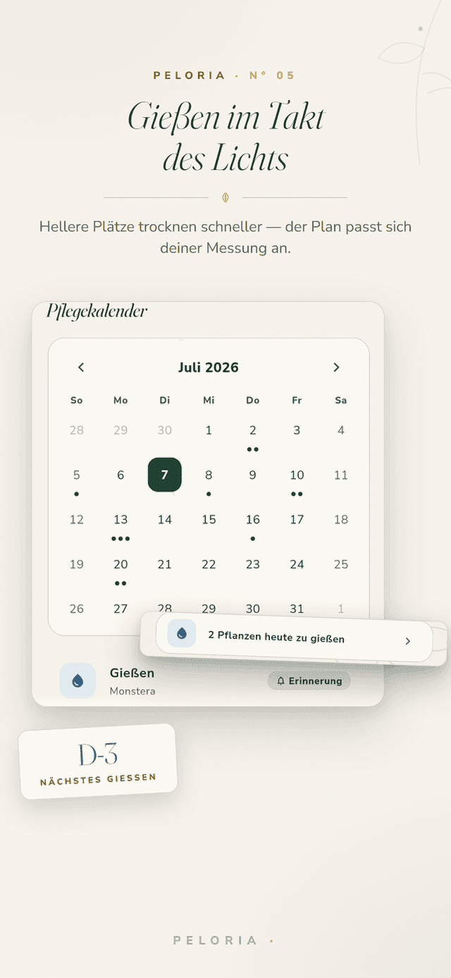 Lichtbasiertes Gießen - ein Pflegekalender, dessen Gießrhythmus sich an das gemessene Licht anpasst, mit Countdown bis zum nächsten Gießen