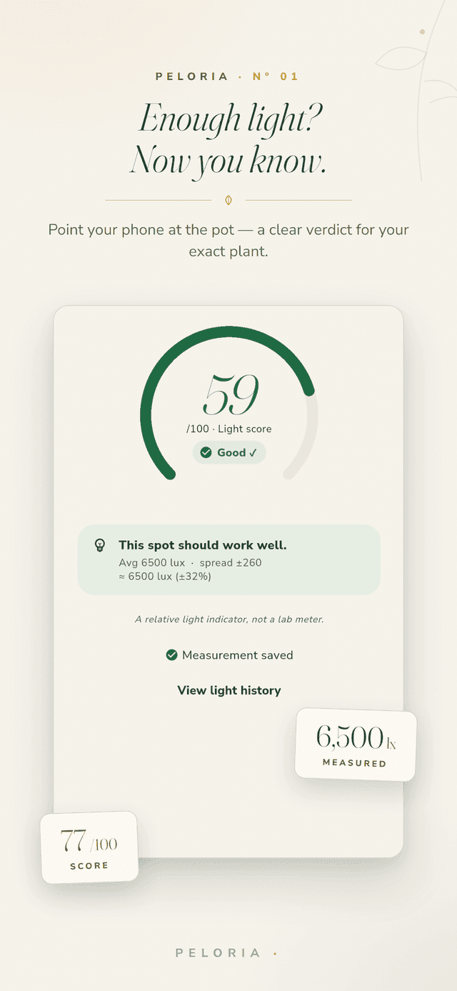 Light verdict screen - point your phone at a plant for a 0-100 light score and a clear enough-light verdict, a relative indicator not a lab meter