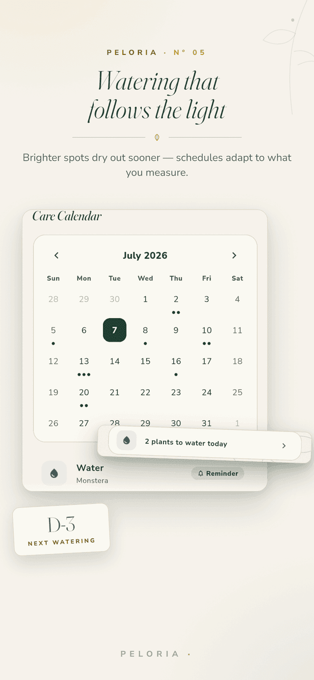 Light-aware watering - a care calendar whose watering schedule adapts to the light you measure, with the next-watering countdown
