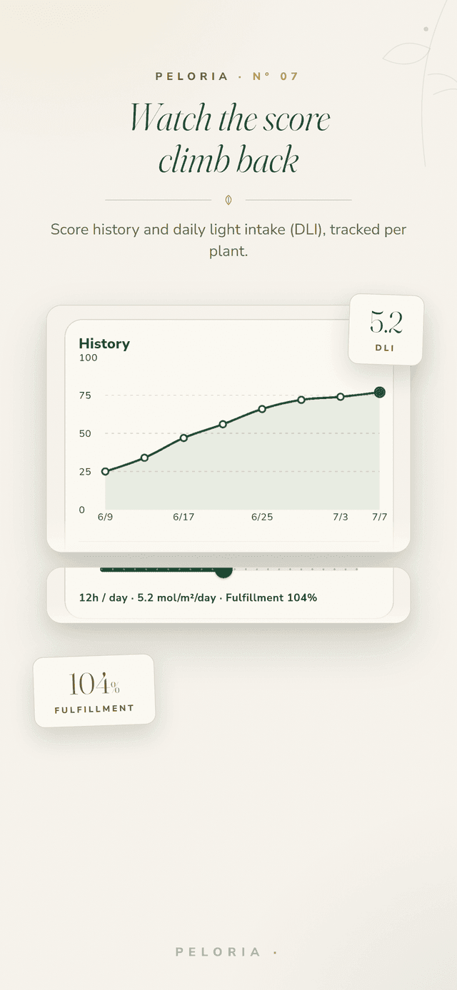 Score history - a chart of a plant's light score climbing back over time, with daily light intake (DLI) and fulfillment