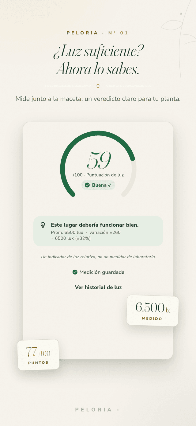 Pantalla de veredicto de luz - apunta el teléfono a una planta para una puntuación de luz de 0-100 y un veredicto claro, un indicador relativo y no un medidor de laboratorio