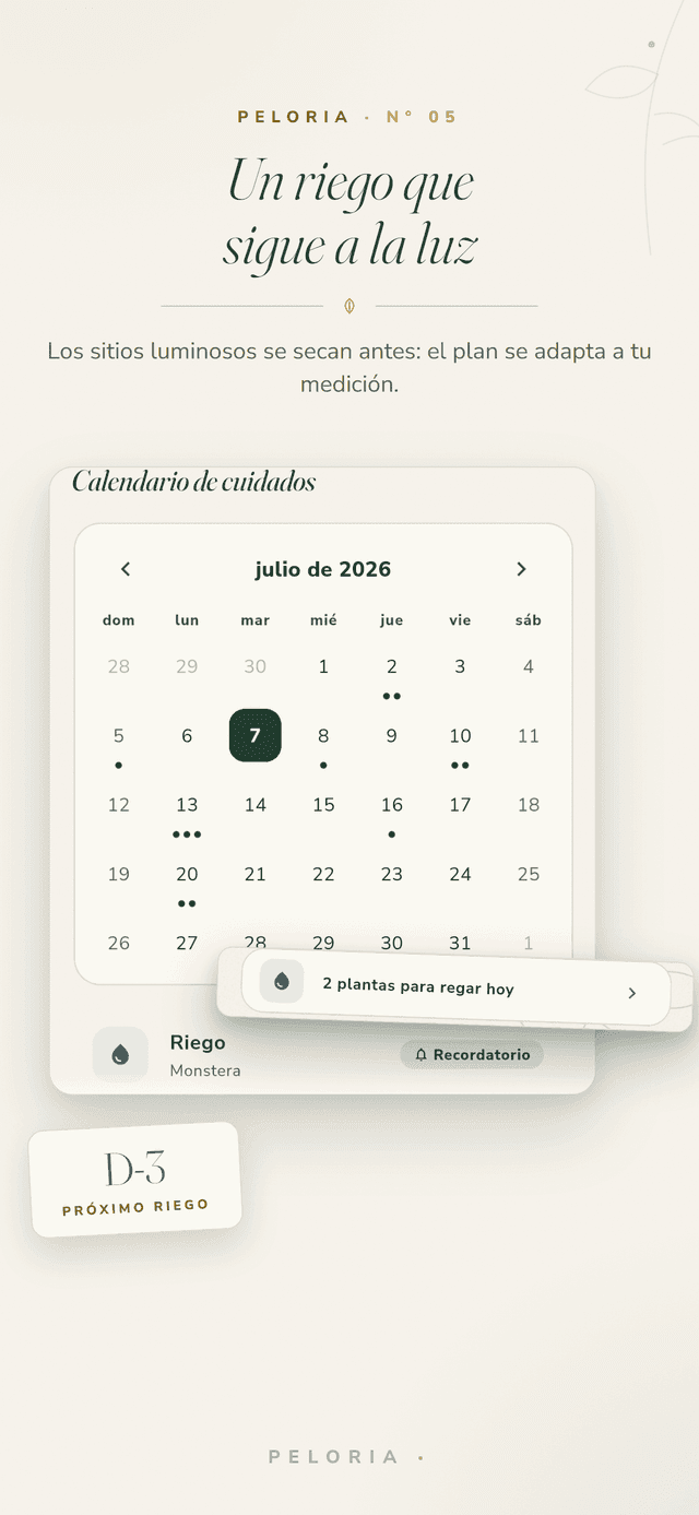 Riego guiado por la luz - un calendario de cuidado cuyo ritmo de riego se adapta a la luz que mides, con la cuenta atrás del próximo riego