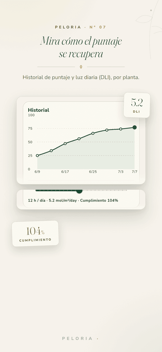 Historial de puntuación - un gráfico de la puntuación de luz de una planta subiendo con el tiempo, con la luz diaria (DLI) y su cumplimiento