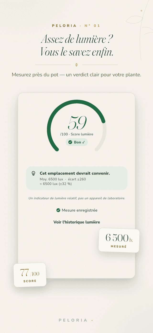 Écran de verdict lumière - pointez votre téléphone vers une plante pour un score de lumière sur 100 et un verdict clair, un indicateur relatif et non un instrument de laboratoire