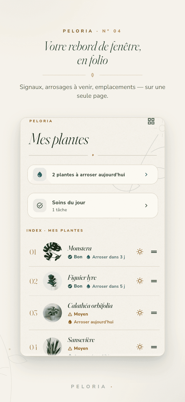 Folio Mes plantes - chaque plante sur une page apaisée avec son état lumineux et le compte à rebours d'arrosage, plus les tâches d'arrosage et de soin du jour