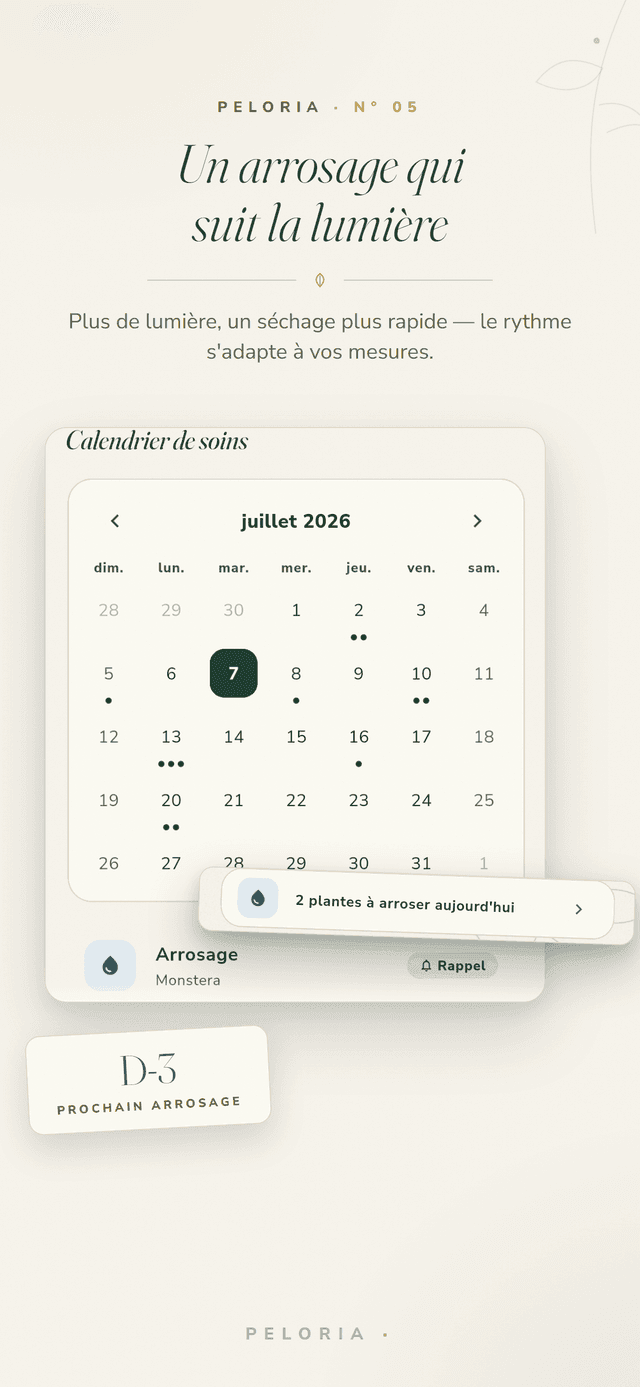 Arrosage guidé par la lumière - un calendrier d'entretien dont le rythme d'arrosage s'adapte à la lumière mesurée, avec le compte à rebours du prochain arrosage