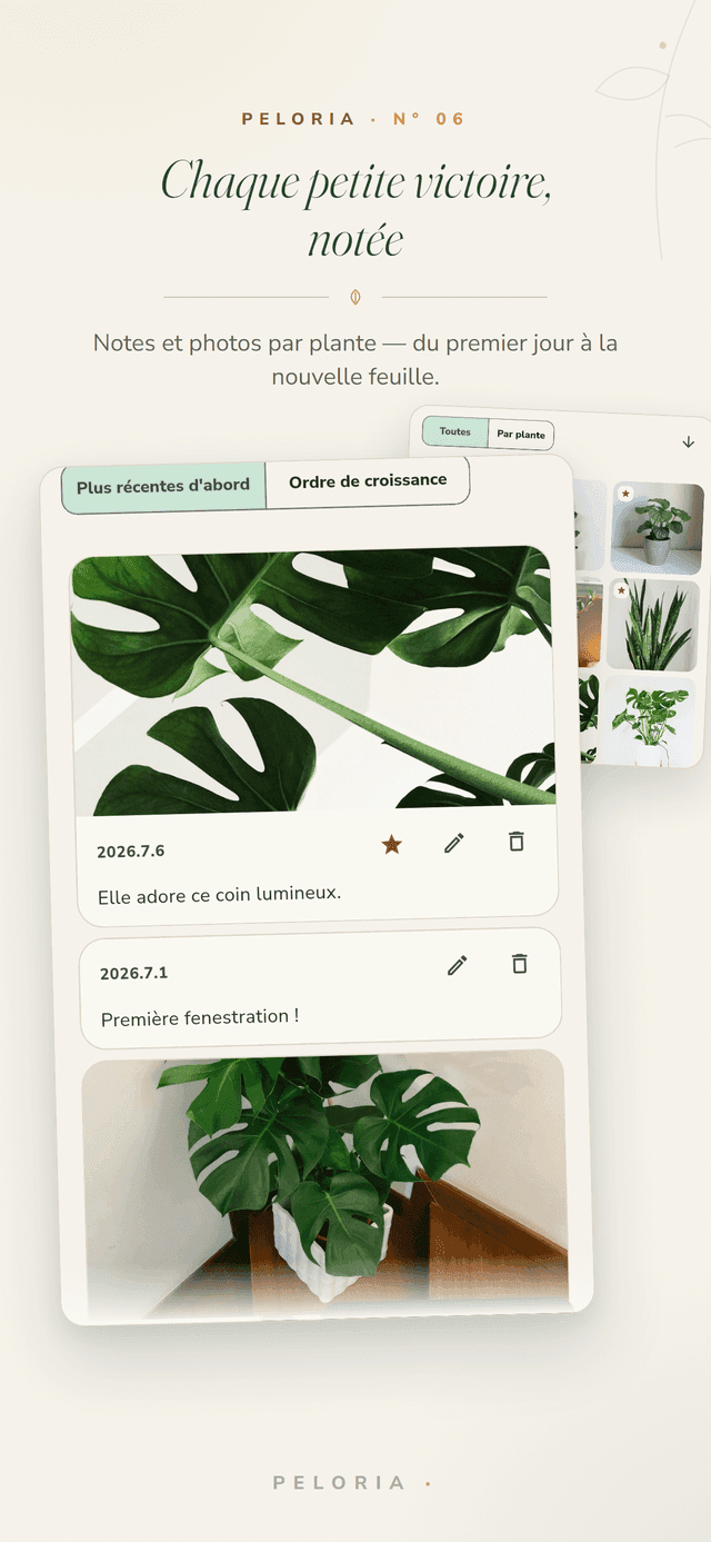 Journal des plantes - notes datées et photos de croissance par plante, du premier jour à la maison à la première nouvelle feuille