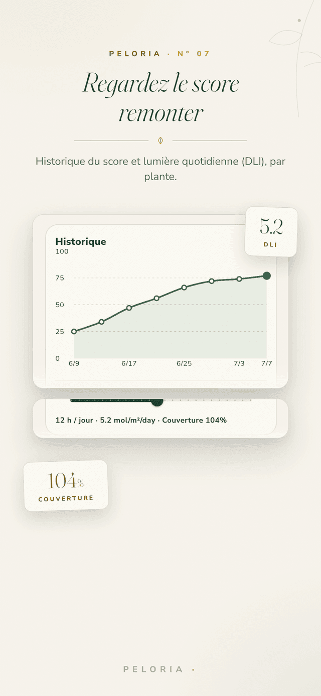 Historique du score - un graphique du score de lumière d'une plante qui remonte au fil du temps, avec l'apport lumineux quotidien (DLI) et son taux atteint