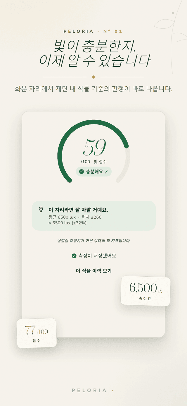 식물에 폰을 비추면 0-100 빛 점수와 충분 여부 판정을 보여주는 결과 화면, 실험실 계측기가 아닌 상대적 빛 지표