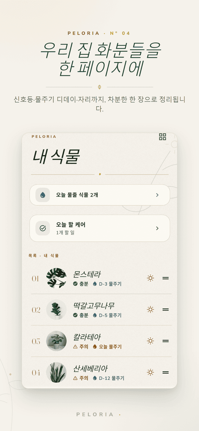 내 식물 폴리오 - 모든 식물의 빛 상태와 다음 물주기까지 남은 일수를 한 페이지에, 오늘의 물주기·케어 할 일 포함