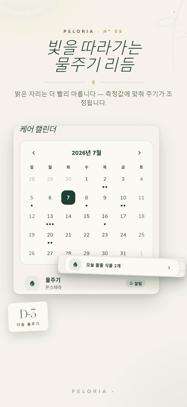 빛을 따라가는 물주기 - 측정한 빛에 맞춰 물주기 일정이 조정되는 케어 캘린더와 다음 물주기 카운트다운