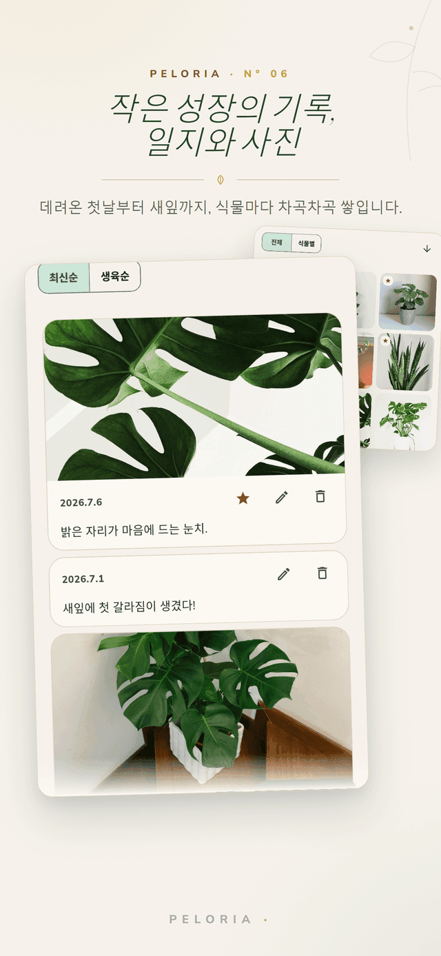 식물 일지 - 식물별 날짜 기록과 성장 사진, 집에 온 첫날부터 첫 새잎까지