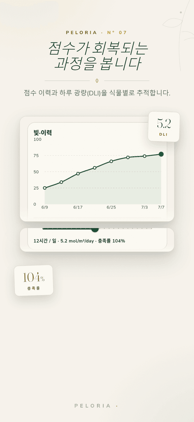 점수 이력 - 시간이 지나며 다시 오르는 식물의 빛 점수 그래프와 하루 광량(DLI)·충족도