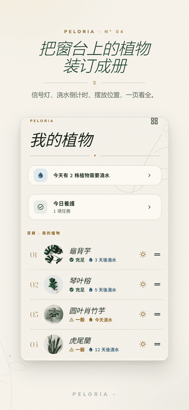 我的植物索引 - 將每株植物的光照狀態與下次澆水倒數整理在同一頁,並含今日澆水與照護待辦